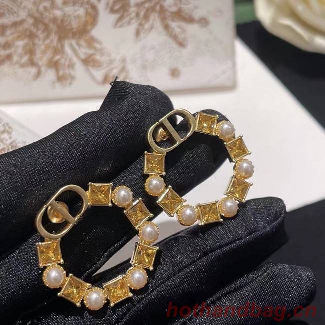 Dior Earrings CE9384