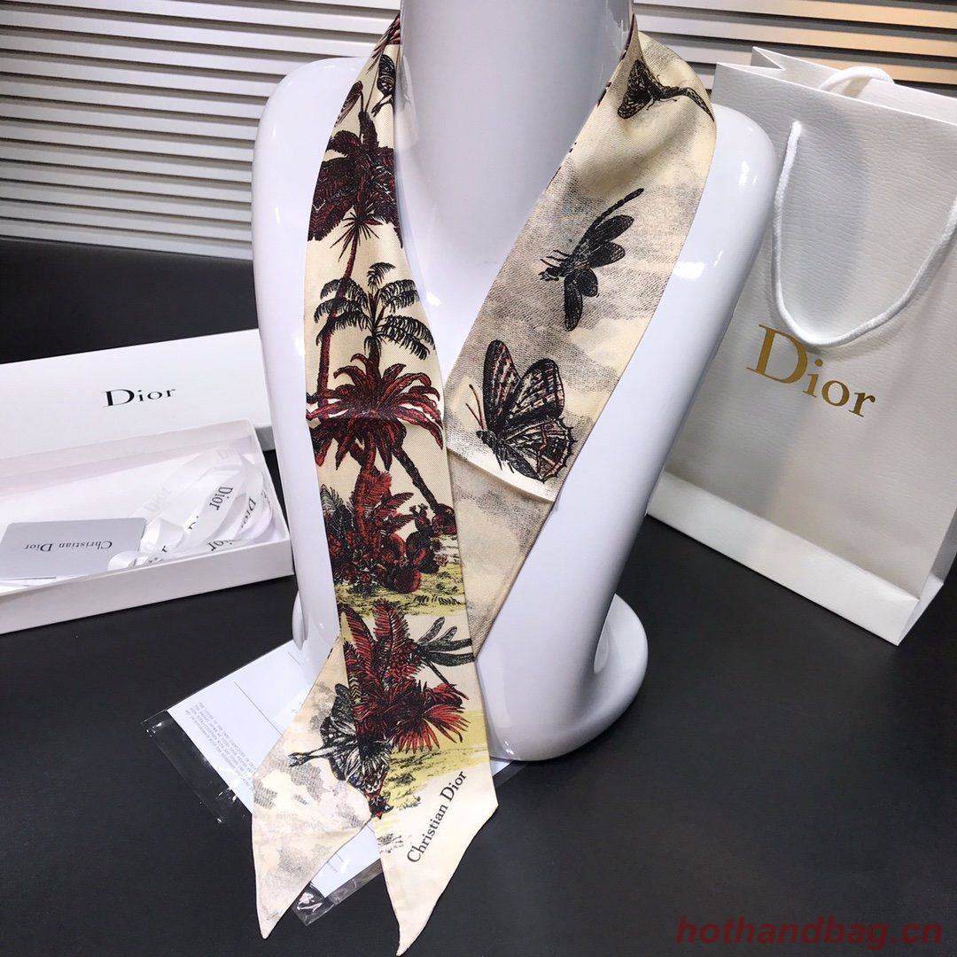 Dior Scarf DIC00003