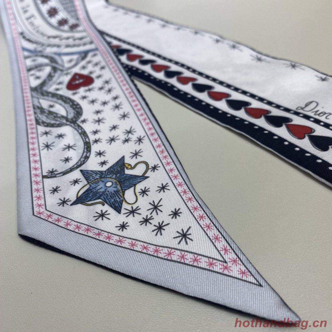 Dior Scarf DIC00011 Dior Scarf DIC00011