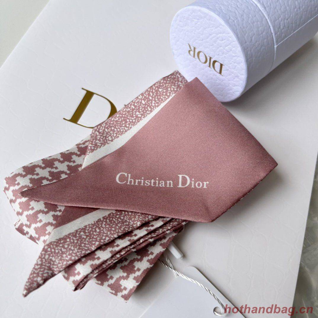 Dior Scarf DIC00014