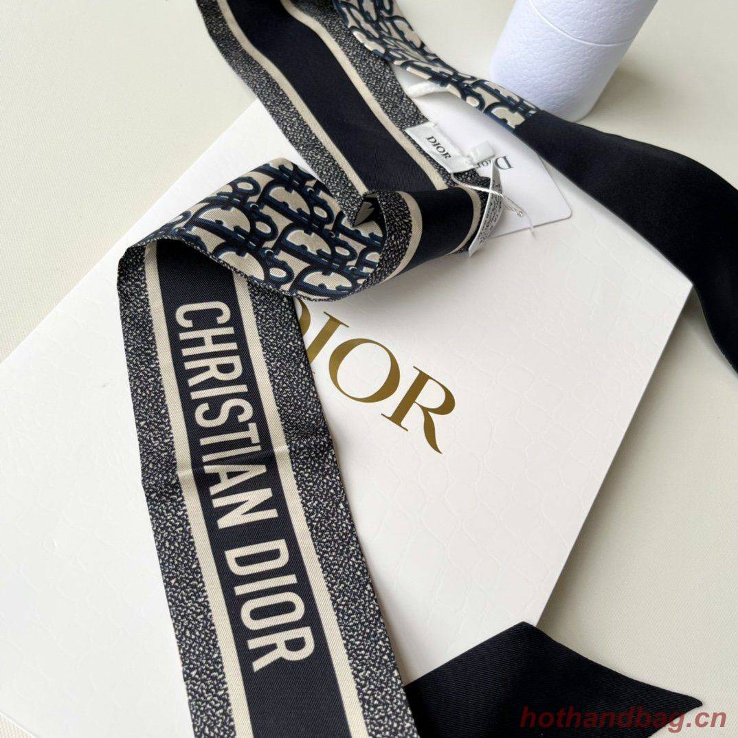 Dior Scarf DIC00018 Dior Scarf DIC00018