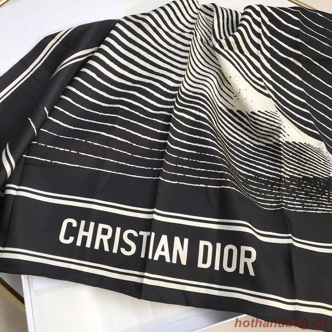 Dior Scarf DIC00074