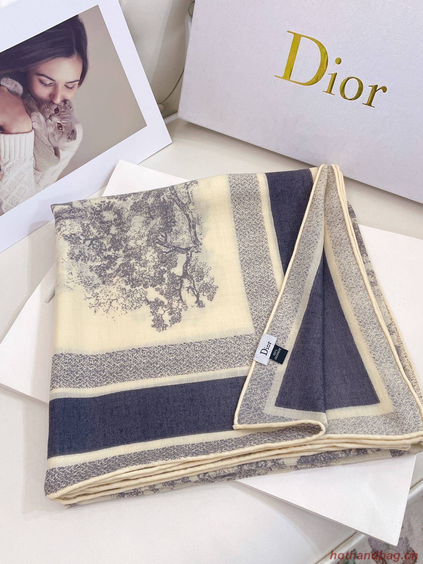 Dior Scarf DIC00125