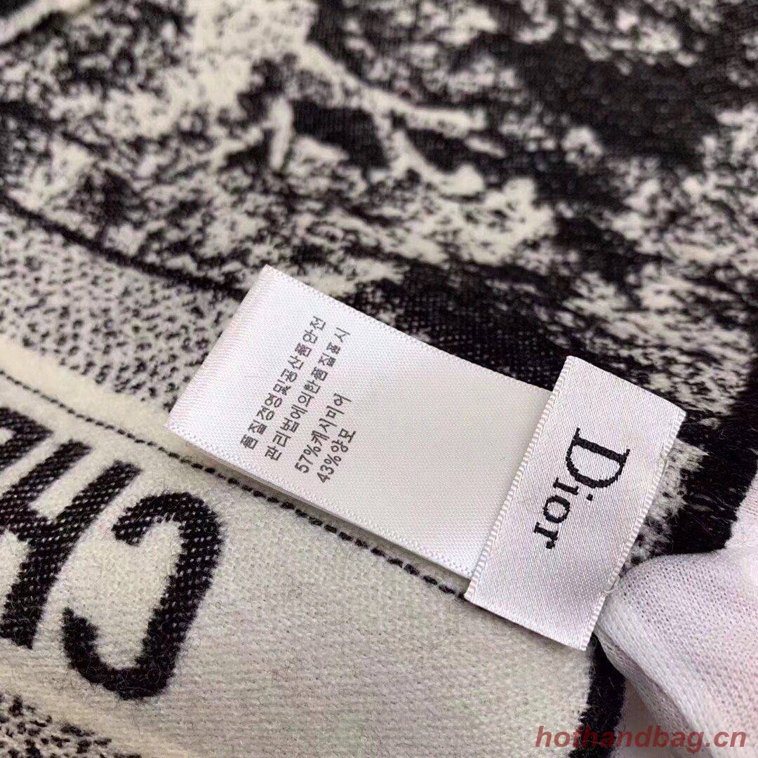 Dior Scarf DIC00136