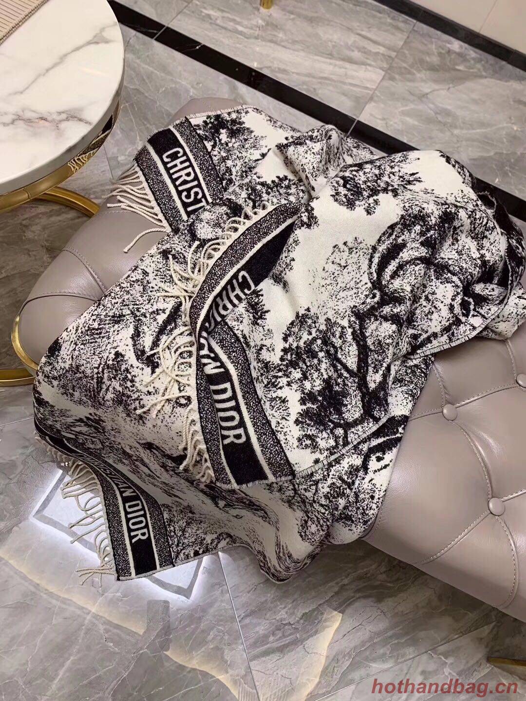 Dior Scarf DIC00136