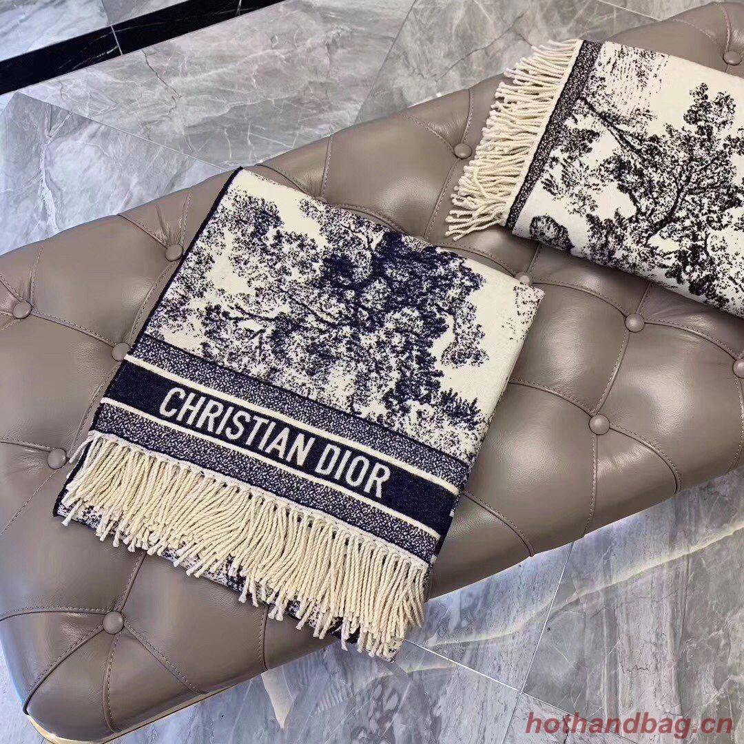 Dior Scarf DIC00136