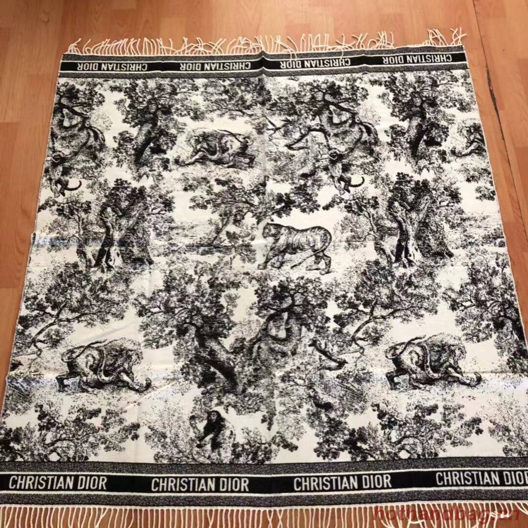 Dior Scarf DIC00136