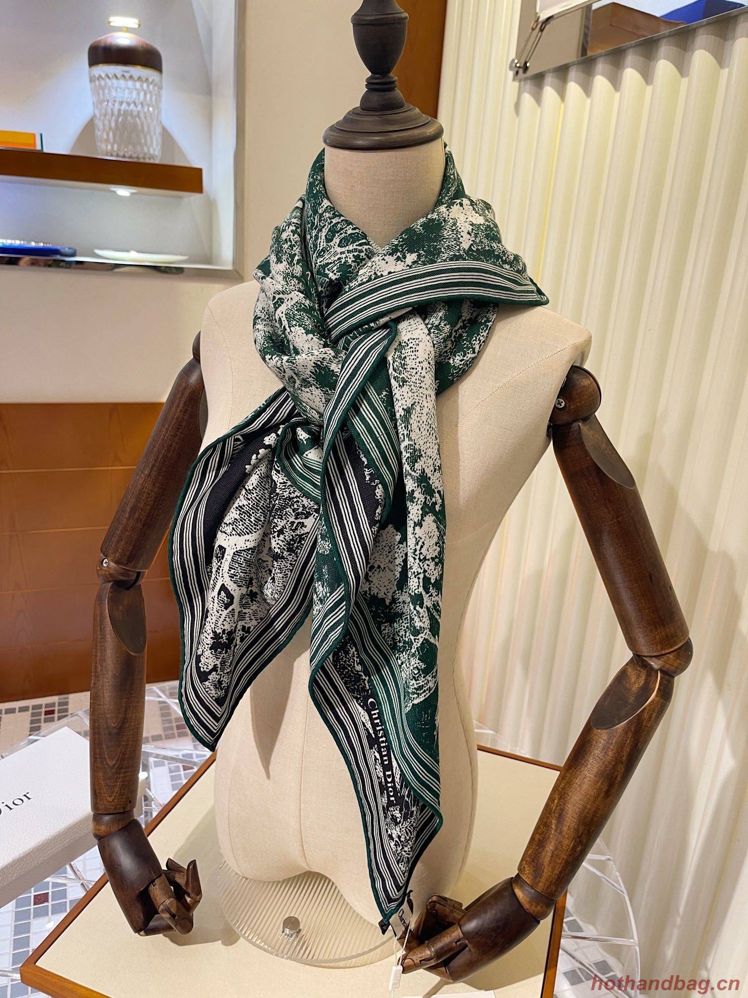 Dior Scarf DIC00147