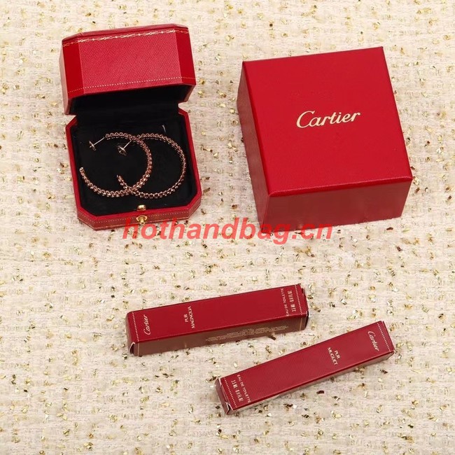 Cartier Earrings CE9713