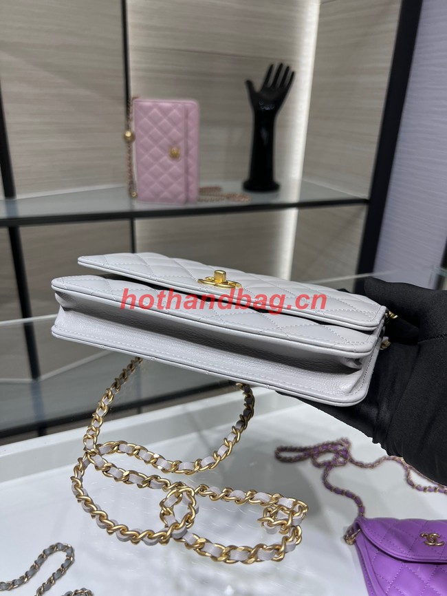 CHANEL WALLET ON CHAIN AP1450 light gray