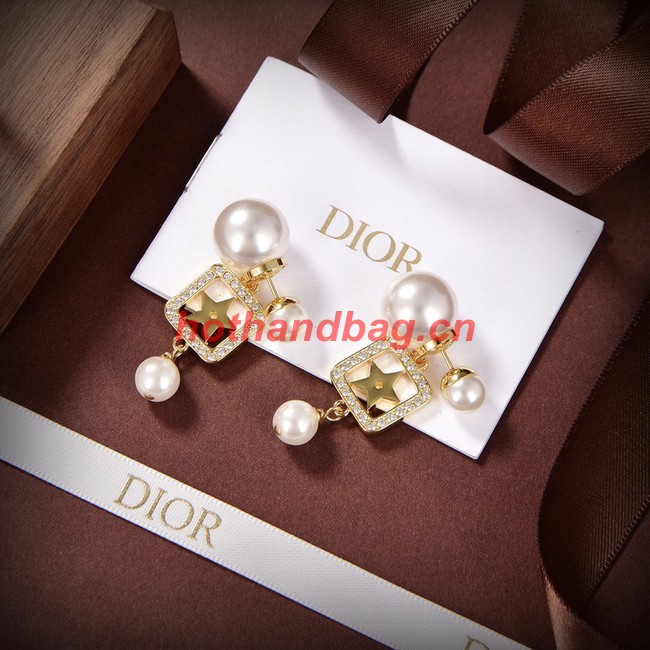 Dior Earrings CE10150