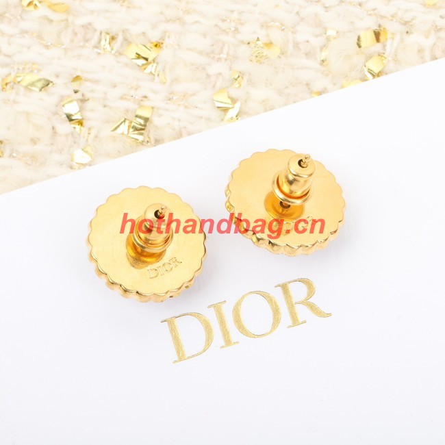 Dior Earrings CE10177