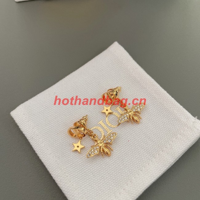 Dior Earrings CE10370