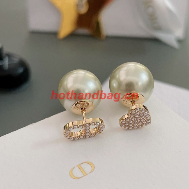 Dior Earrings CE10373