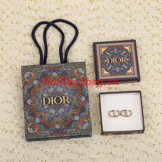 Dior Earrings CE10431