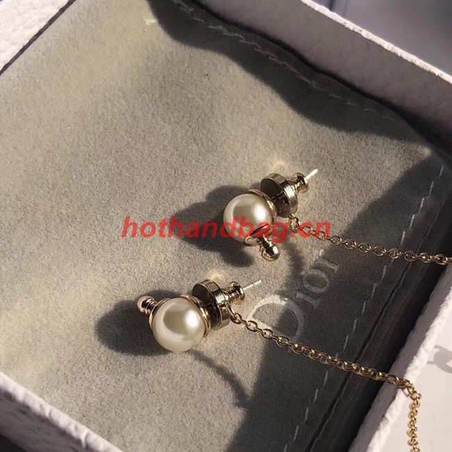 Dior Earrings CE10640