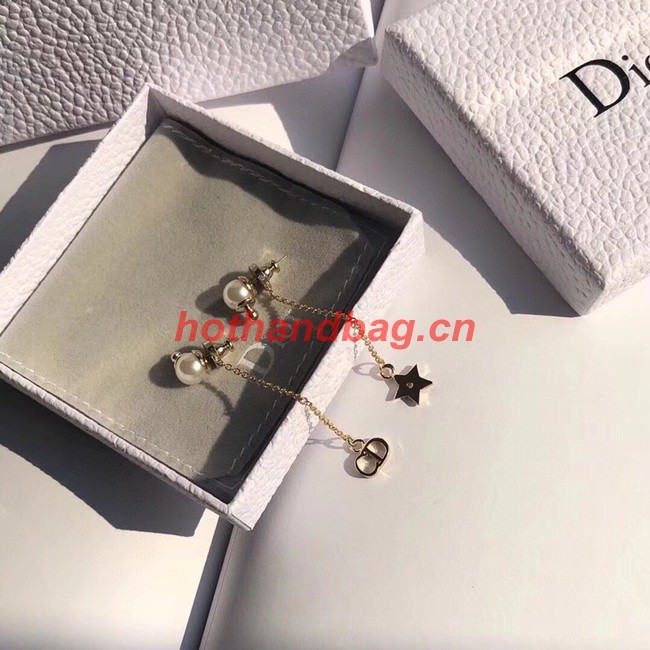 Dior Earrings CE10640