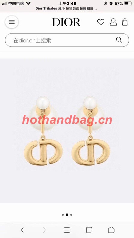 Dior Earrings CE10741