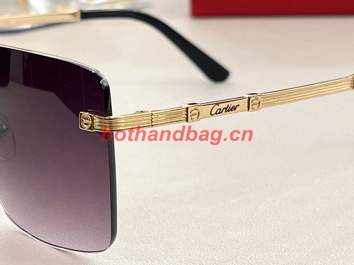 Cartier Sunglasses Top Quality CAS00511