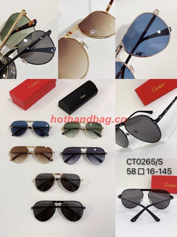 Cartier Sunglasses Top Quality CAS00539