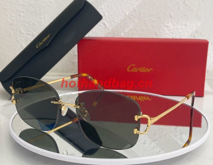 Cartier Sunglasses Top Quality CAS00549