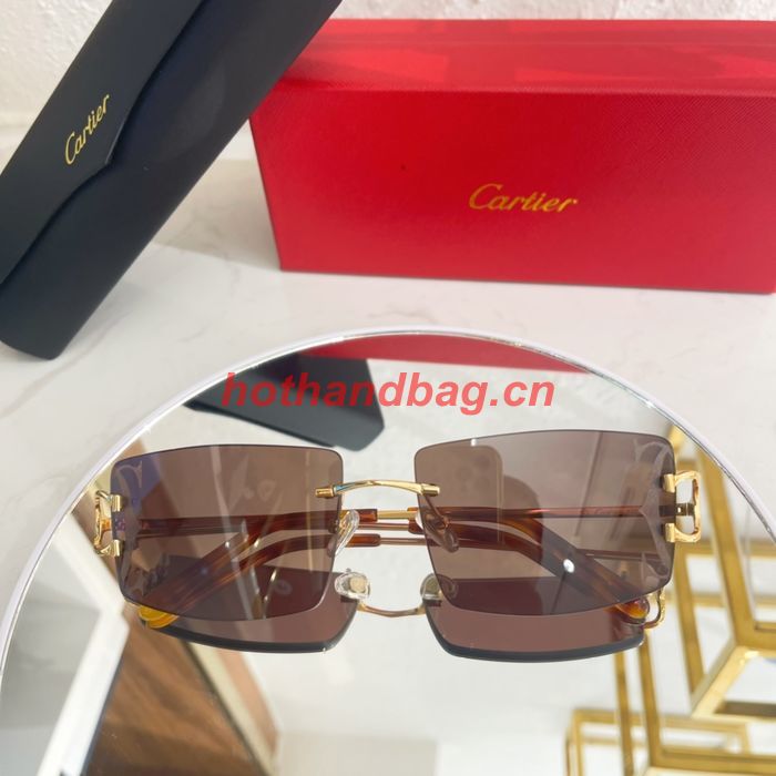 Cartier Sunglasses Top Quality CAS00565