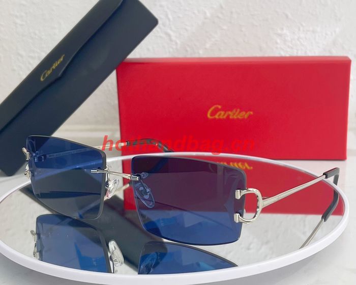 Cartier Sunglasses Top Quality CAS00569