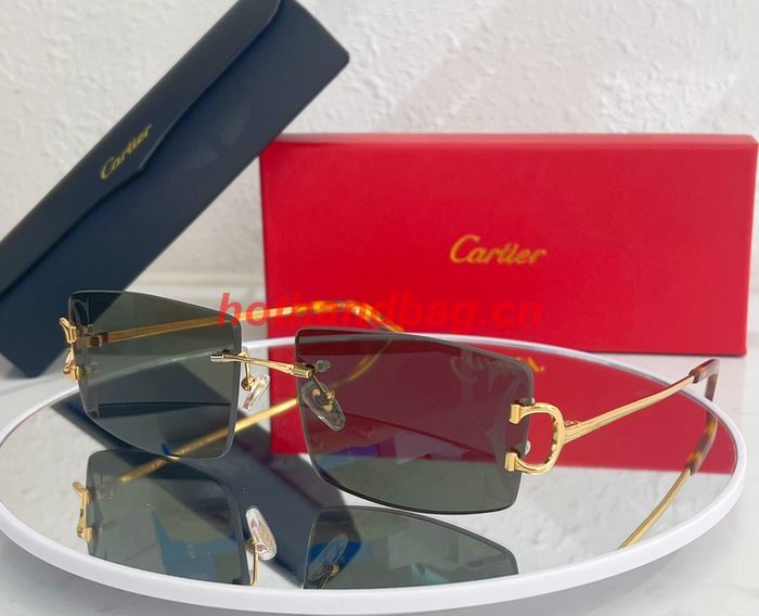 Cartier Sunglasses Top Quality CAS00571