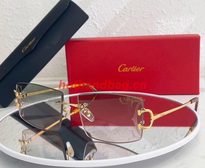 Cartier Sunglasses Top Quality CAS00573