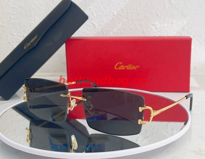 Cartier Sunglasses Top Quality CAS00574