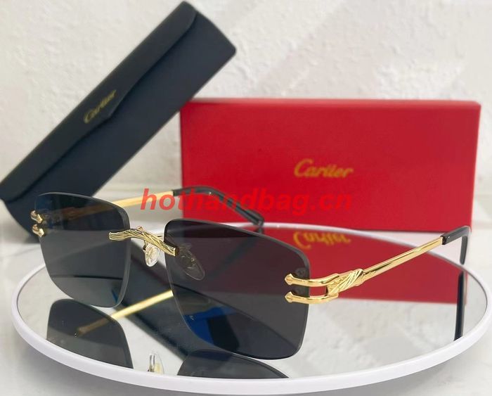 Cartier Sunglasses Top Quality CAS00593