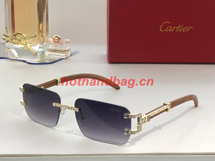 Cartier Sunglasses Top Quality CAS00604