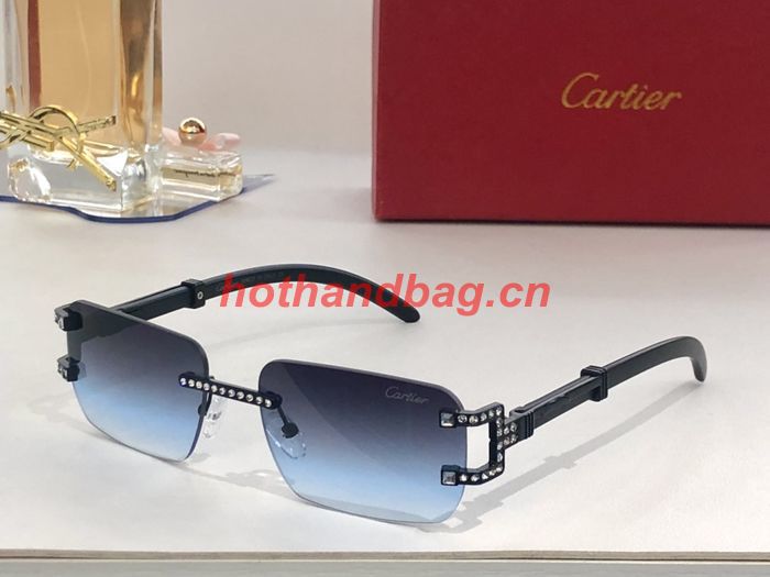 Cartier Sunglasses Top Quality CAS00605