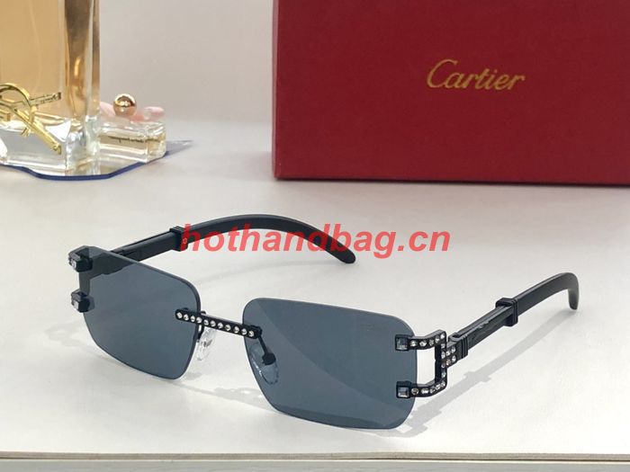 Cartier Sunglasses Top Quality CAS00606