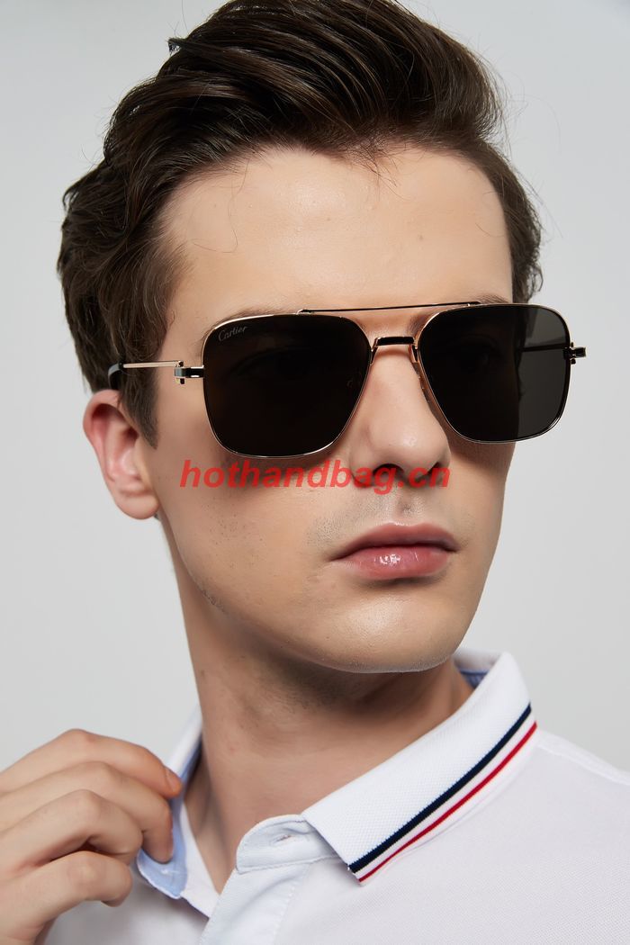 Cartier Sunglasses Top Quality CAS00611