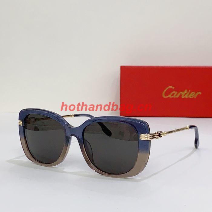 Cartier Sunglasses Top Quality CAS00669