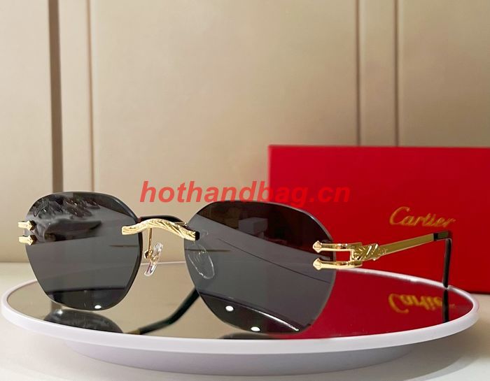 Cartier Sunglasses Top Quality CAS00674