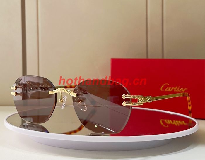 Cartier Sunglasses Top Quality CAS00675