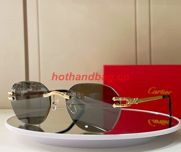 Cartier Sunglasses Top Quality CAS00677