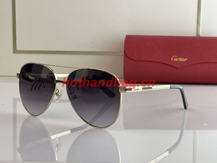 Cartier Sunglasses Top Quality CAS00704
