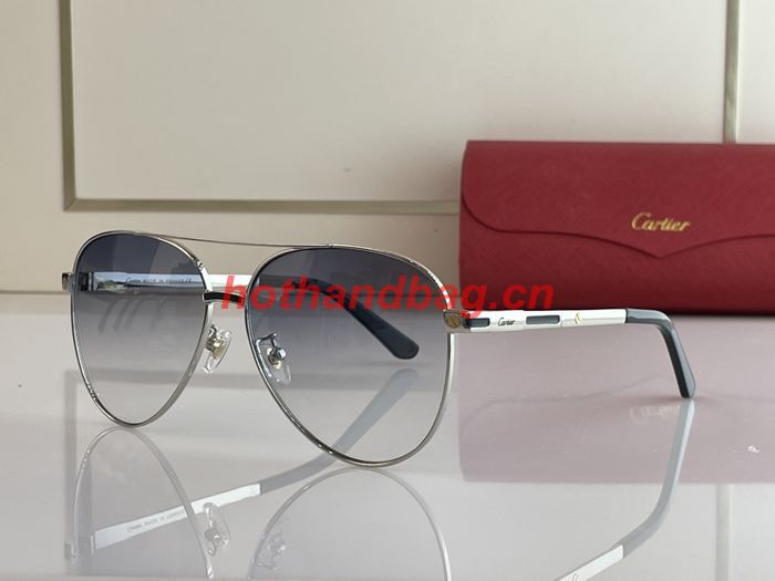 Cartier Sunglasses Top Quality CAS00705