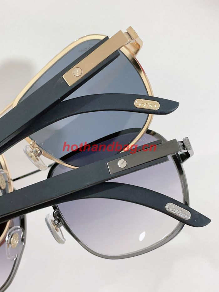 Cartier Sunglasses Top Quality CAS00744