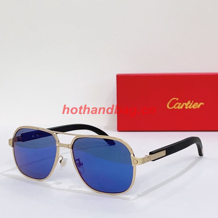 Cartier Sunglasses Top Quality CAS00748