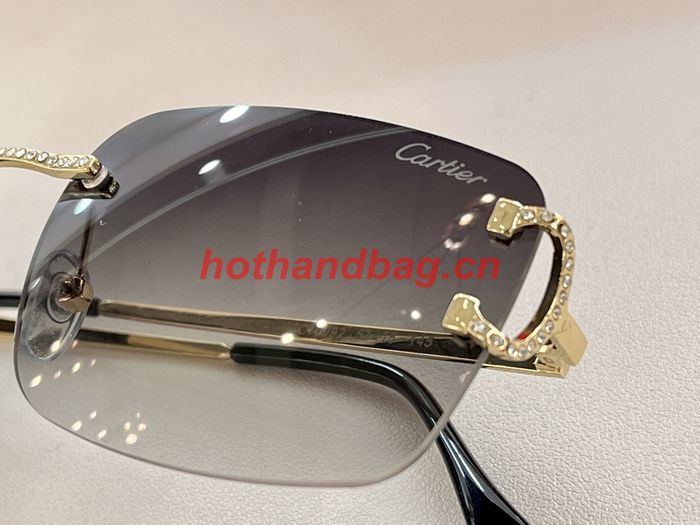 Cartier Sunglasses Top Quality CAS00769