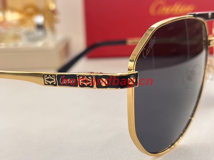 Cartier Sunglasses Top Quality CAS00907