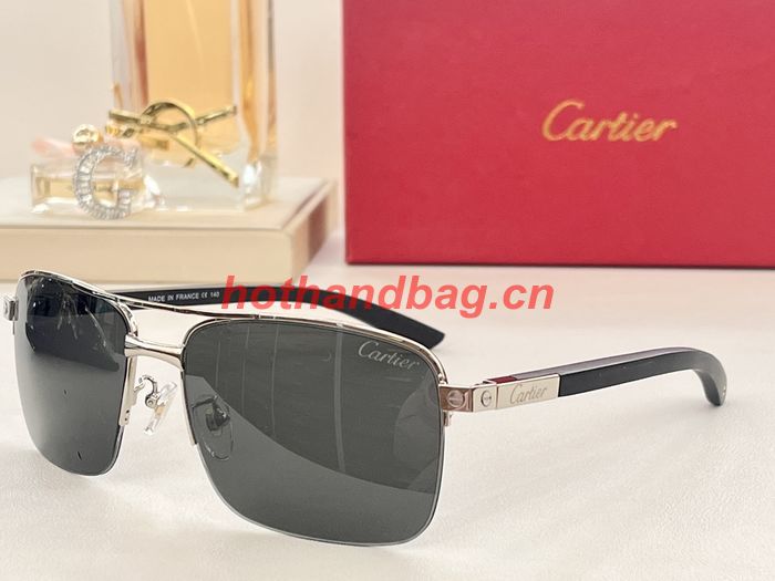 Cartier Sunglasses Top Quality CAS00919