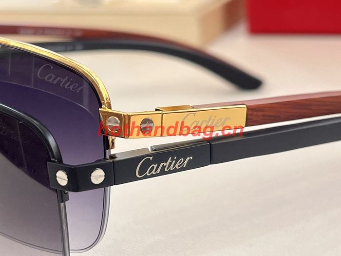 Cartier Sunglasses Top Quality CAS00925