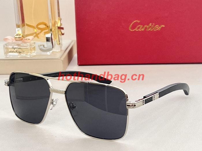 Cartier Sunglasses Top Quality CAS00929
