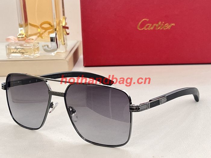 Cartier Sunglasses Top Quality CAS00931