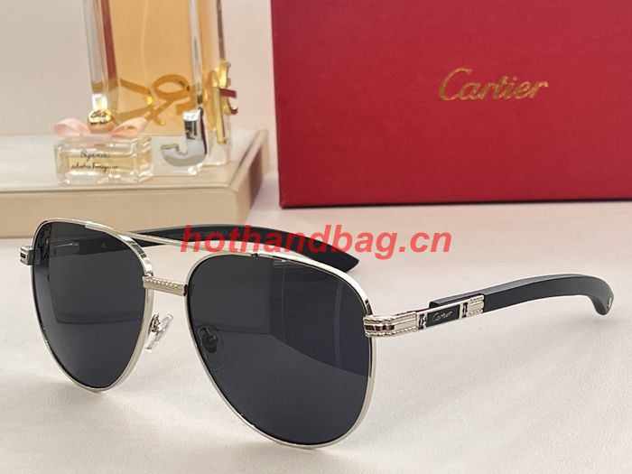 Cartier Sunglasses Top Quality CAS00936